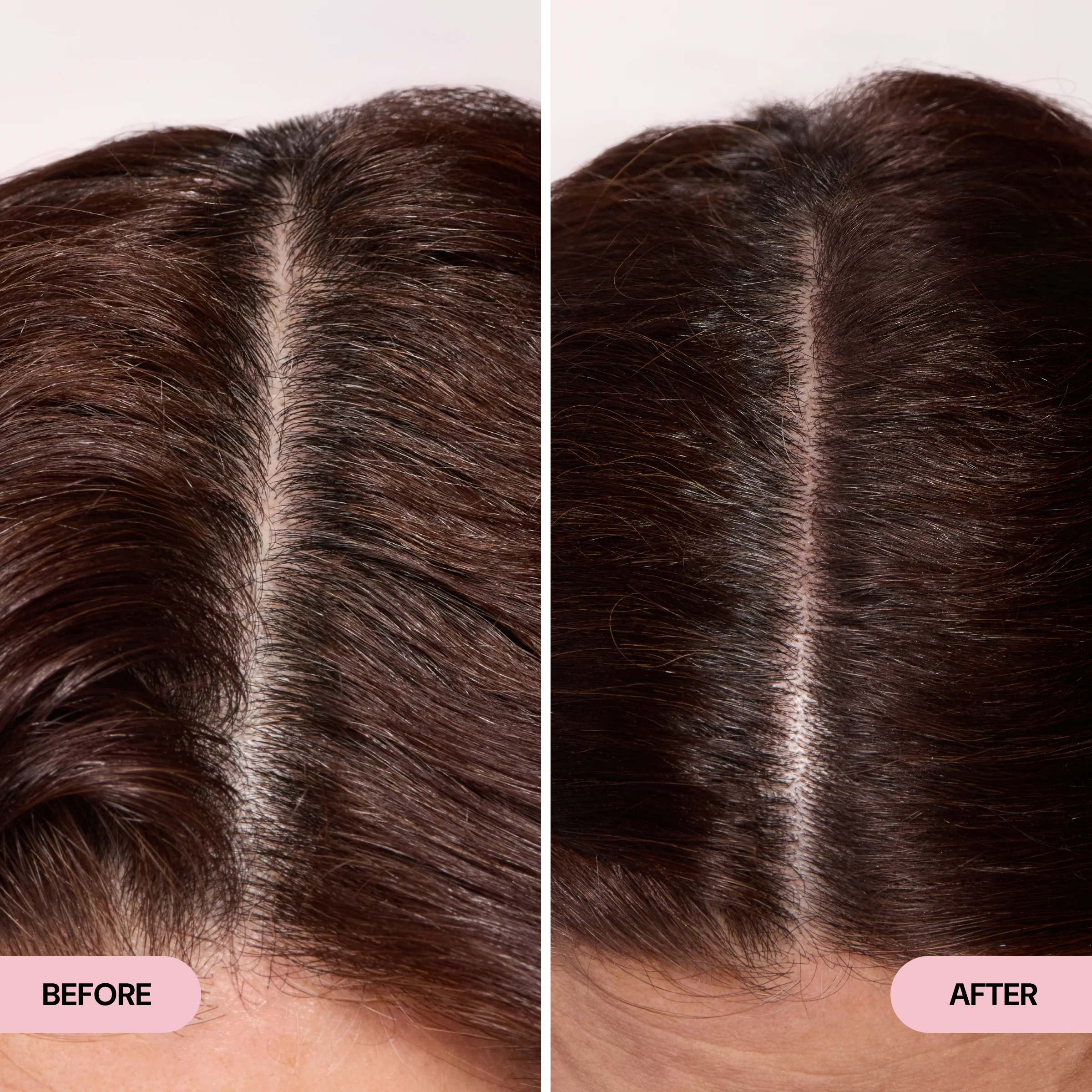 Rootmatch - Image 4